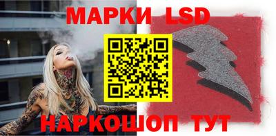 индика Гай
