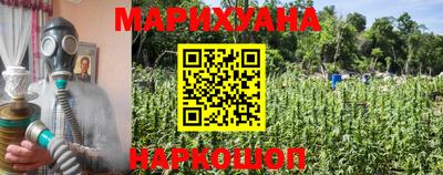 индика Гай