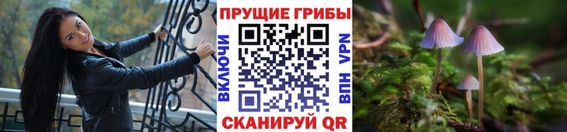 где продают Рубцовск Псилоцибиновые грибы Psilocybine cubensis